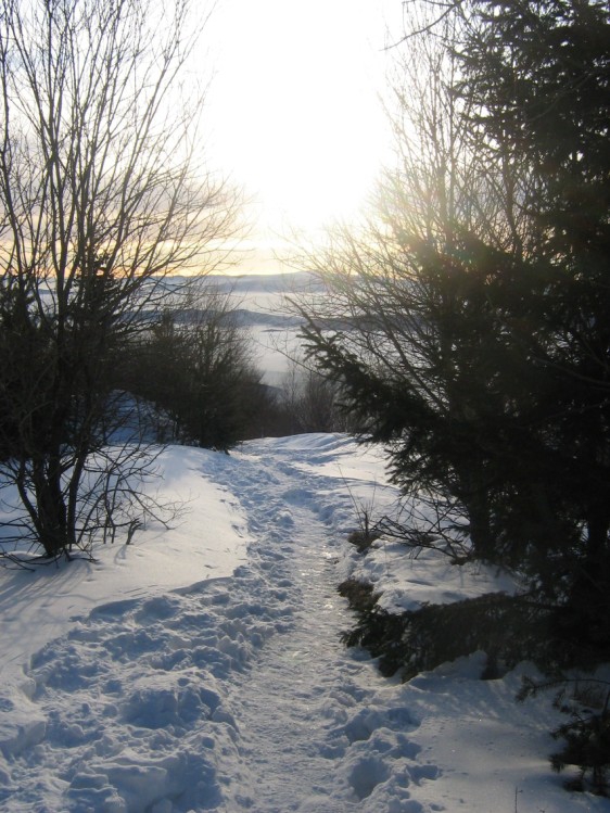 Планински туризъм