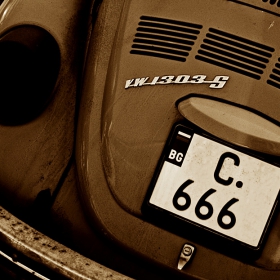 The Number Of The Beetle
