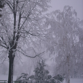 Украсено дърво