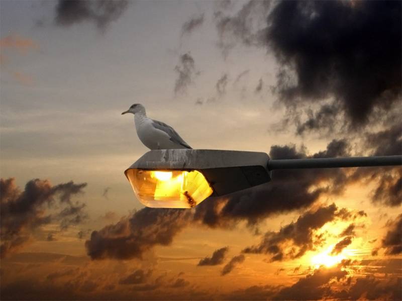 sunset