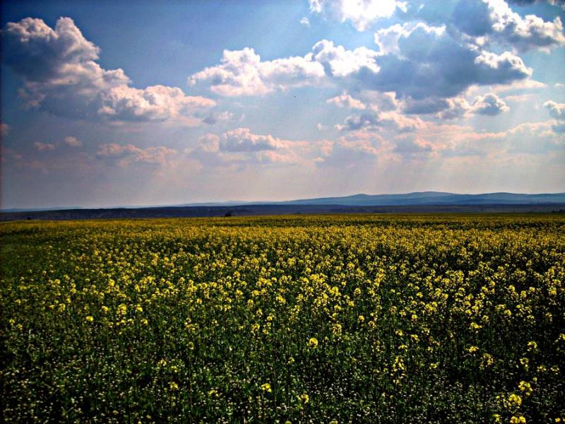 Пролетта дошла
