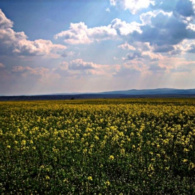 Пролетта дошла
