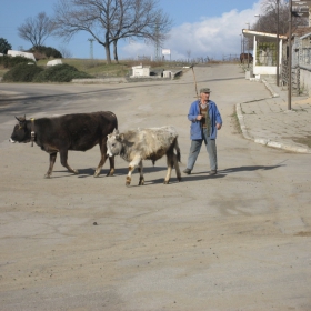 На паша