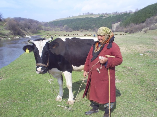 Снимка без име