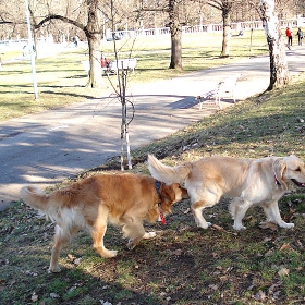 Я да видя какво има тука...