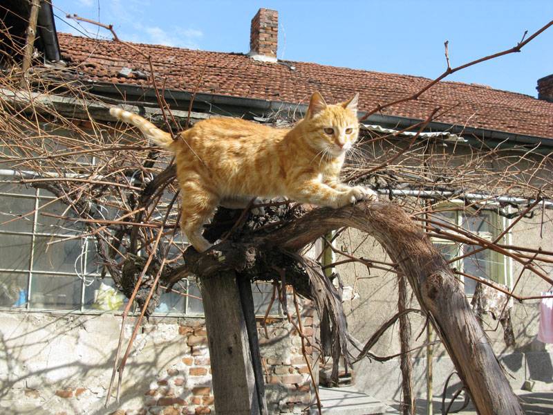 по добре така