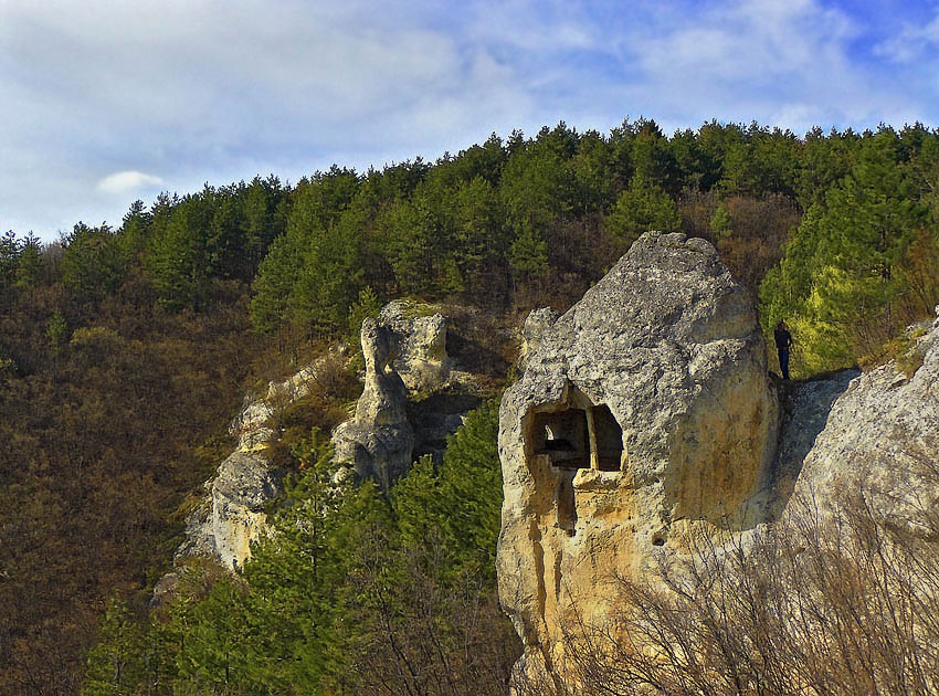 Диреклията