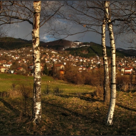 пет брези