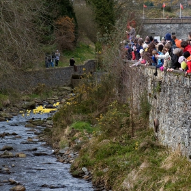 Great Laxey and Lonan Duck Race-7