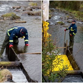 Great Laxey and Lonan Duck Race-5