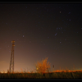 Orion