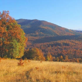 Златна Есен