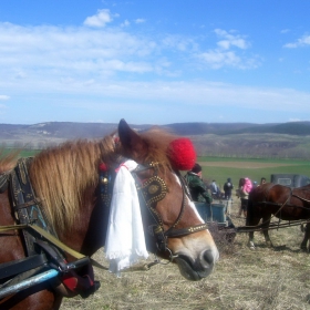 Тодоров ден