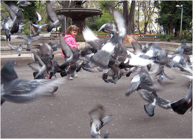 Танц
