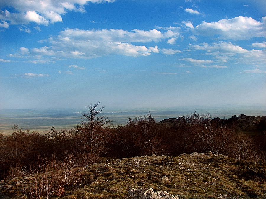 Карандила