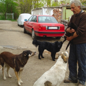 Към добрината с любов