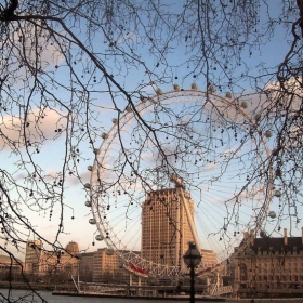 The London Eye, January 2008