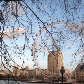 The London Eye, January 2008