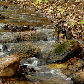 ...ripple...
