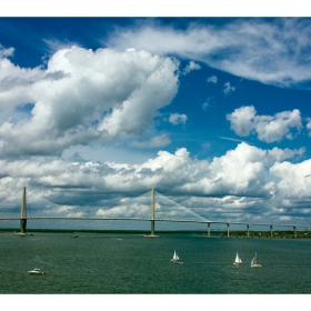 Charleston Bridge