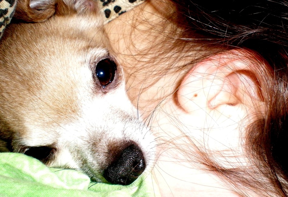 Mouse and Me