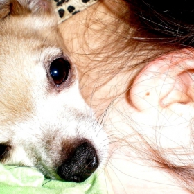 Mouse and Me