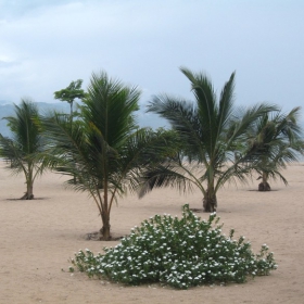 Плаж на езерото Tanganyika (Burundi, Africa)