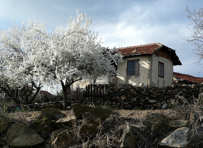 Пробуждане