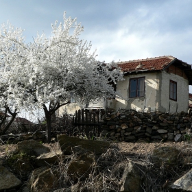 Пробуждане