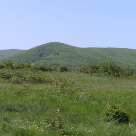 BALKAN
