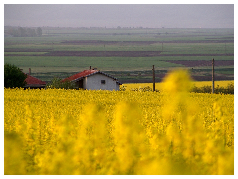 Пролетта  край  нас