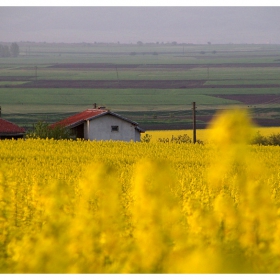 Пролетта  край  нас