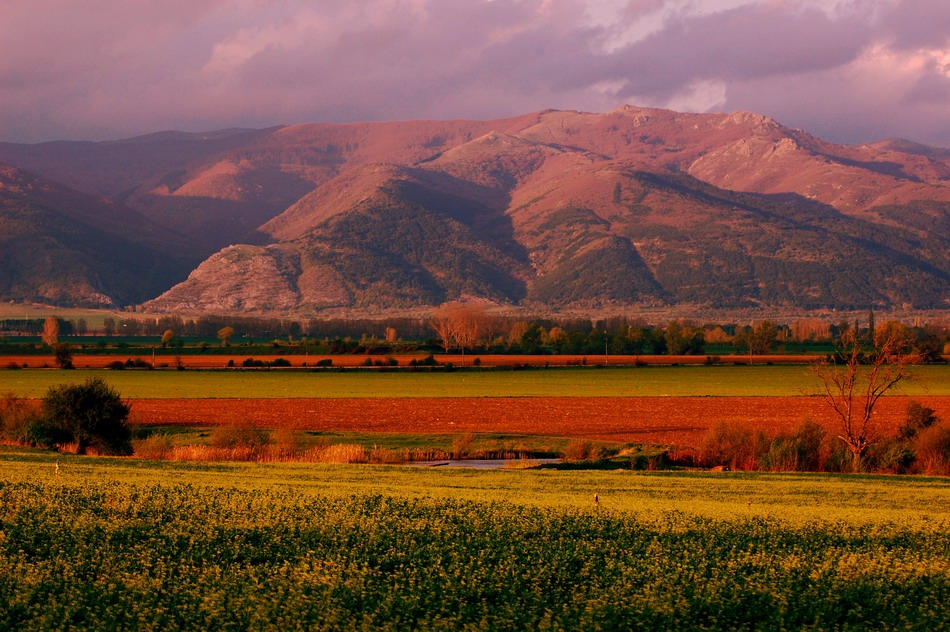 THE  ROSE VALLEY