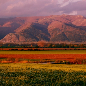 THE  ROSE VALLEY