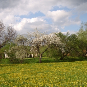 Пролетна картина