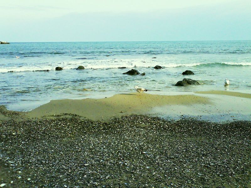 Lonely