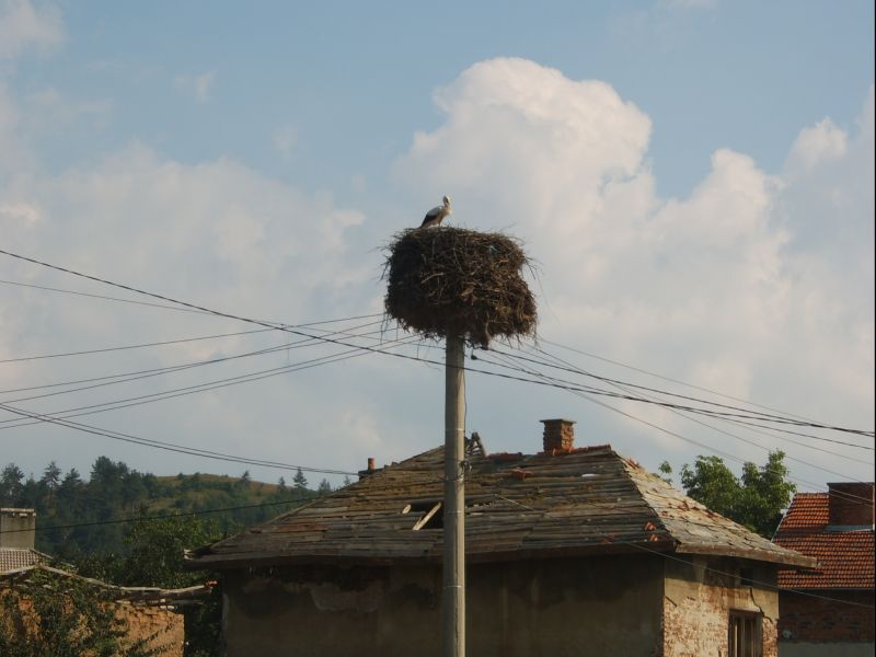Снимка без име