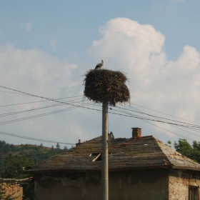 Снимка без име