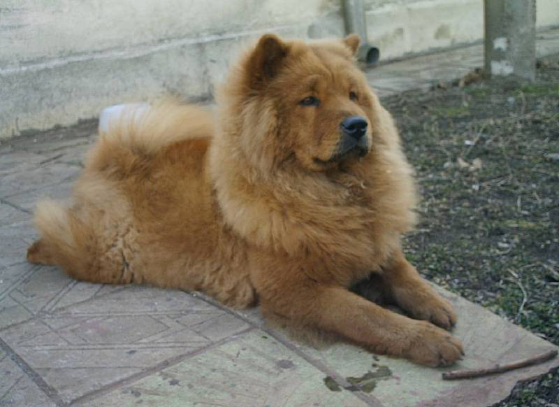 Снимка без име
