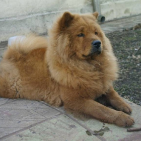 Снимка без име