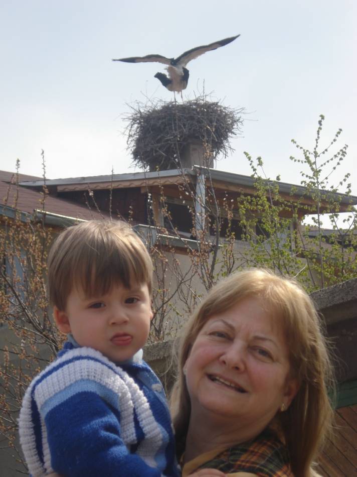 Ивчо каза: 