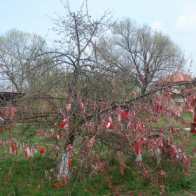 Дърво-мартеничка