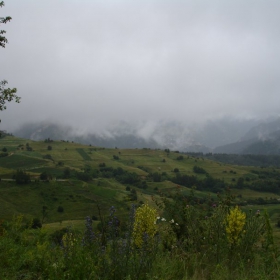 Planina