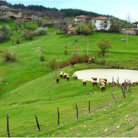 На края на България...