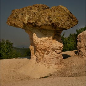 скални гъби