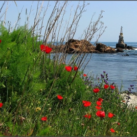 Морско с червено полско