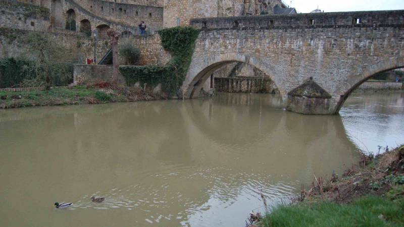 Spokoistvie