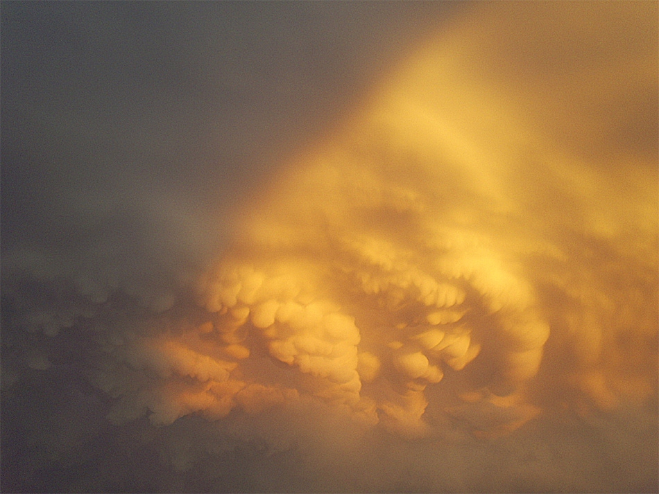 Mammatus