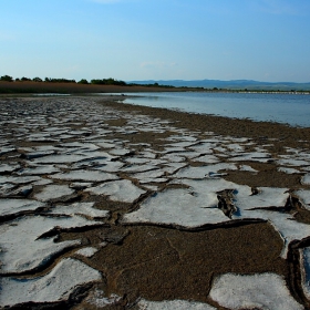 вода, суша и небе...