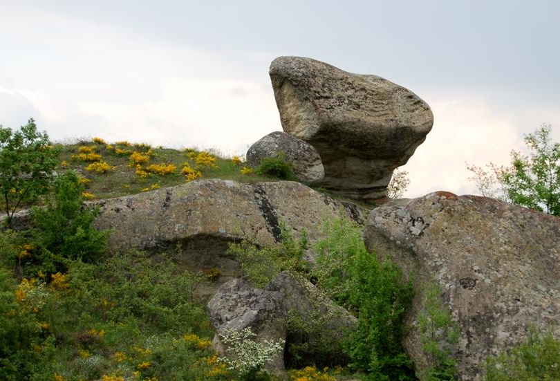 Златоградска гъба